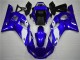 1998-2002 White Blue Yamaha YZF R6 Bike Fairings & Bodywork for Sale 1998-2002 White Blue Yamaha YZF R6 Bike Fairings & Bodywork for Sale