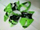 2000-2002 Green Black Kawasaki ZX6R Bike Fairings for Sale 2000-2002 Green Black Kawasaki ZX6R Bike Fairings for Sale