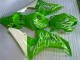 2006-2007 Green Honda CBR1000RR Motorbike Fairings for Sale 2006-2007 Green Honda CBR1000RR Motorbike Fairings for Sale