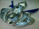 2006-2007 Blue Flame Silver Honda CBR1000RR Motorcycle Fairing Kits for Sale 2006-2007 Blue Flame Silver Honda CBR1000RR Motorcycle Fairing Kits for Sale