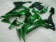 2008-2010 Green Flame Kawasaki ZX10R Bike Fairings for Sale 2008-2010 Green Flame Kawasaki ZX10R Bike Fairings for Sale